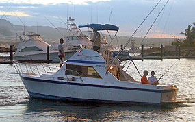 31' Californian Cabo San Lucas