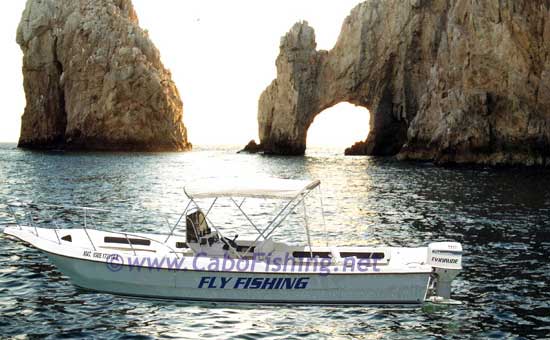 Cabo San Lucas Fly, Light & Spinning Tackle Fishing
